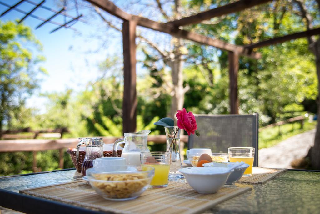 Kallisto Guesthouse 차가라다 외부 사진