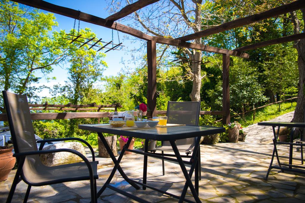 Kallisto Guesthouse 차가라다 외부 사진